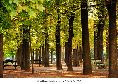 Garden Of Luxembourg, Paris