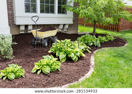 Garden maintenance in spring doing the mulching of the flowerbeds to keep down weeds and retain moisture in the soil