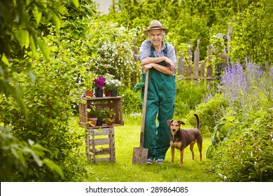 4,739 Dog Garden Fence Images, Stock Photos & Vectors | Shutterstock