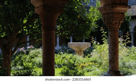 Garden of the MET Cloisters. NYC, 2022