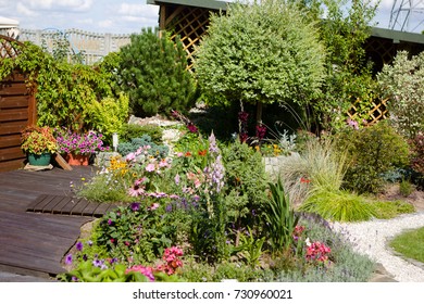 Garden in the middle of summer with willow trees and flowers
