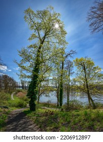 Garden Monument 