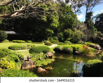 Garden In Mt Coot Tha, Brisbane, Australia