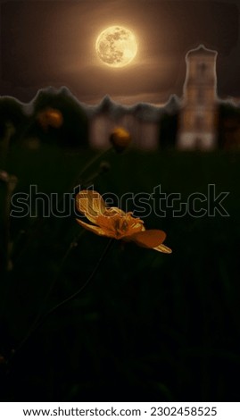 Similar – Image, Stock Photo Tulip in Winter Flower