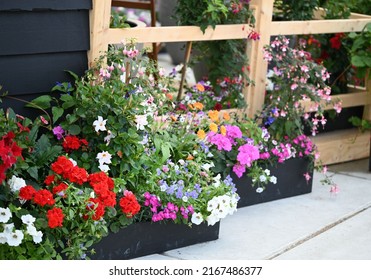 Garden Oasis Setting With Annual Flowering Planters