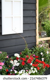 Garden Oasis Setting With Annual Flowering Planters