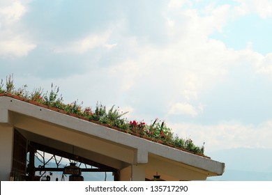 Garden On Roof