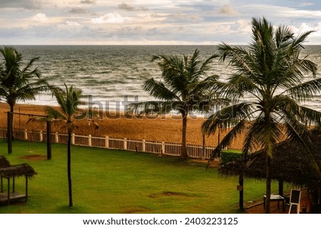 Garden with palm tree, wavy Indian ocean, cloudy sky before evening monsoon. People play beach volleyball. Waskaduwa, Sri Lanka.