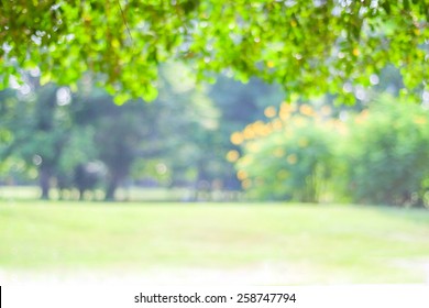Garden, Park Background, Blur Summer Green Outdoor With Bokeh Light Background, Blurry Tree Garden, Park In Spring Nature Backdrop, Banner, Blur Abstract Nature With Bright Light Wallpaper