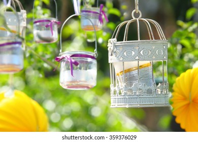 Garden Party Decoration Hanging On Branch
