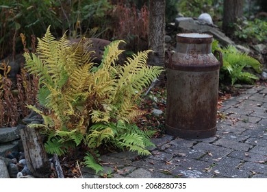 A Garden Path An Autumn Day In A Garden, With An Old Milk Jug And Ferns. 