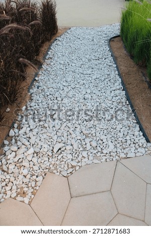 A garden path and border using landscape edging, which helps define different areas and materials in a garden. 