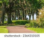 Garden path by a stand of mature live oaks atop Iron Mountain, a prominence of Lake Wales Ridge and one of the highest points in Florida at approximately 295 feet (90 meters) above sea level