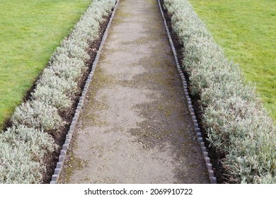 Garden Path With Edging And Dwarf Lavender Borders. Landscaped Garden In Winter, UK