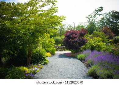 Garden Path With Full Blooms