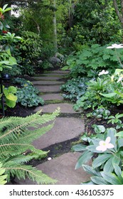 Garden Path Lined With Shade Perennials