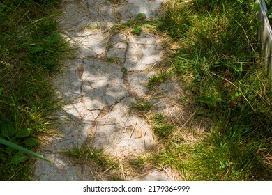 Garden Path Made Of Tiles Overgrown With Grass In Summer.