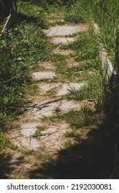 Garden Path Made Of Tiles Overgrown With Grass In Summer.