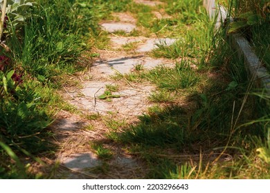 Garden Path Made Of Tiles Overgrown With Grass In Summer.