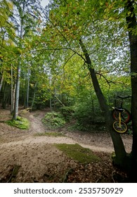 Garden path or garden paths are important in garden design
