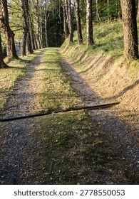 Garden path or garden paths are important in garden design