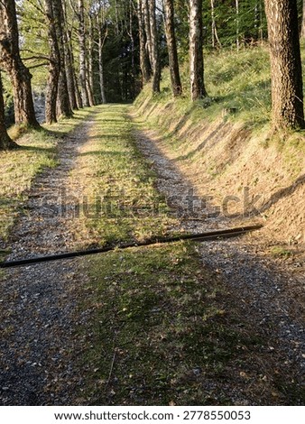 Garden path or garden paths are important in garden design