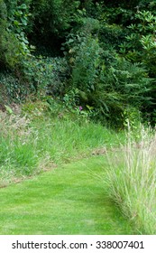 Garden Path Through Long Grass