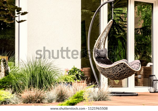 Garden plants next to hanging chair on terrace\
of house during summer. Real\
photo