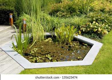 Garden Pond