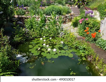 100,123 Habitat garden Images, Stock Photos & Vectors | Shutterstock