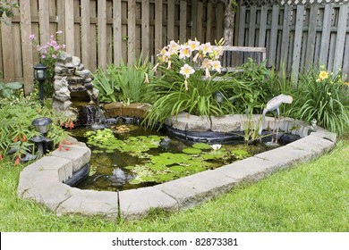 Garden Pond