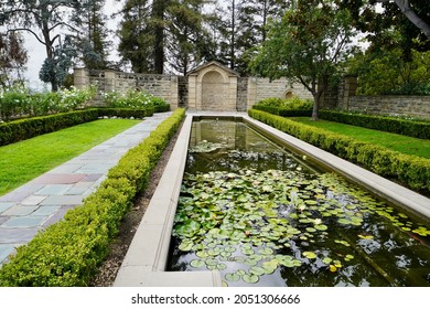 Garden Pond With Lily Pond 