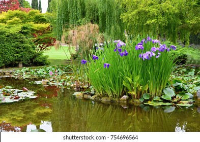 Garden Pond Images Stock Photos Vectors Shutterstock