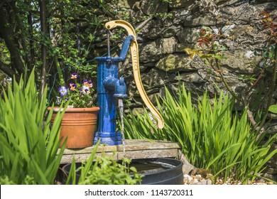 Garden Pot Plant Next To A Water Feature,  Long Grass Leaves Set Against A Stone Wall. Cartmel, Cumbria.