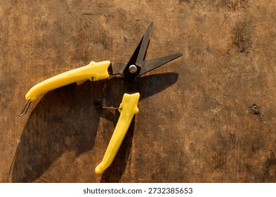 Garden Pruning Scissors on Rustic Wooden Surface