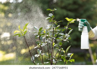 Garden pump sprayer. The gardener sprays apple tree in the garden with a spray bottle. Pest control concept. Caring for garden plants. - Powered by Shutterstock