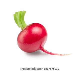 Garden Radish Isolated On White