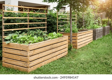 Garden Raised Beds in Vegetable Garden. Modern Gardening. Wooden High Garden Beds with Vegetable Plants. - Powered by Shutterstock