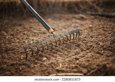 Garden rake. Black metal rake is being pulled through dry soil ready for planting. old rake on a garden bed. spring cleaning. Garden rake rakes the ground, work. Selective focus.  - Powered by Shutterstock