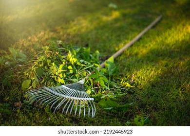 Garden rake for cleaning the territory. Fan rakes lie on the grass in the park. Clean up the garden. - Shutterstock ID 2192445923