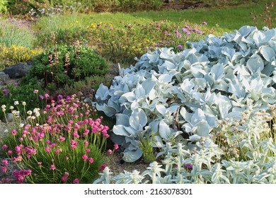 Garden Rockery Featuring Plants Of Different Colors