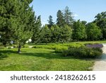 Garden at Royal Palace of Godollo,Hungary.Summer season.