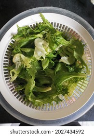 Garden salad in a wringer