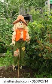 12,203 Scarecrow In The Garden Images, Stock Photos & Vectors ...