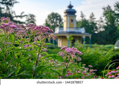 Garden Scene At The Missouri Botanical Gardens In St Louis Missouri