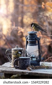 
Garden Scene With A Vintage Lantern, A Coffee Pot And Lively Titmouse, A Frosty Winter Morning, Coffee Theme