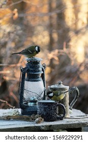 
Garden Scene With A Vintage Lantern, A Coffee Pot And Lively Titmouse, A Frosty Winter Morning, Coffee Theme