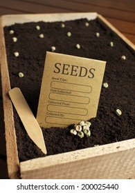 Garden Seed Packet With Seeds