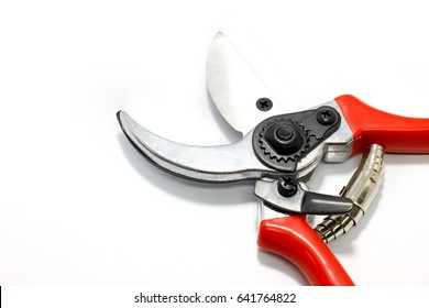 Garden Shears On White