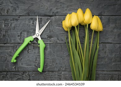 Garden Shears and Yellow Tulips on Rustic Wooden Table - Powered by Shutterstock